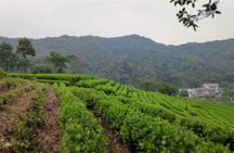All-Inclusive Private Day Tour to Hangzhou by Bullet Train