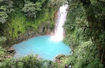 Rio Celeste Waterfall and Sloth watching Tour 