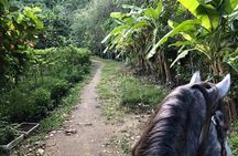 Horseback Riding 1 hour trail