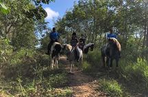 Horseback Riding 1 hour trail