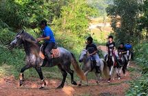 Horseback Riding 1 hour trail