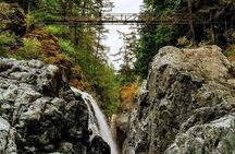 Waterfalls, Coombs and Cathedral Grove Rainforest Tour