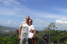Blue Mountain Coffee and Sightseeing Tour