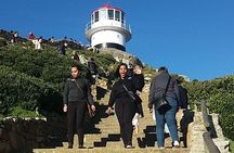 Small Group Cape Of Good Hope Penguins Wine Tasting Inc Park Fees