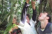 Jungle Tour 3 Days / 2 Nights