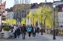 Ljubljana culinary tour