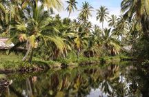 One-Day Tour Hawaii Movie Tour: Island Hopping from Oahu to Kauai