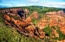 Kauai Cruise Ship Shore Excursion Journey to Waimea Canyon