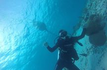 Shore Dive Aruba for Certified Divers