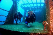 Diving in Cancun for Certified Divers | 2 Dives | All Inclusive