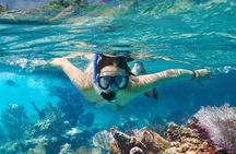 Koh Taen & Mudsum: Island Hopping and Snorkeling from Koh Samui