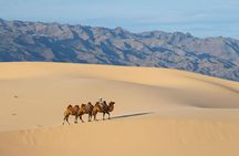 1 Day Semi-Gobi Tour Including Lunch And Free Camel +Bonus Khustai National Park