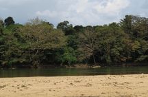 Wasgamuwa National Park Safari from Kandy 