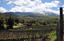 Alcantara Food & Wine Day Tour (Private Experience)