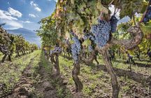 Alcantara Food & Wine Day Tour (Private Experience)