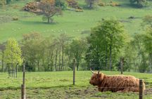 Loch Ness, Glencoe and The Scottish Highlands Tour from Edinburgh