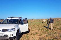 Day Trip to Mini Sahara