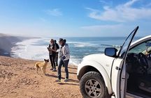 Day Trip to Mini Sahara
