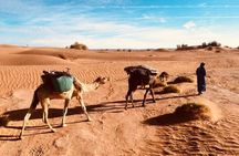 Experience In the footsteps of the nomads