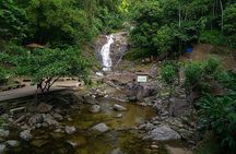 Cameron Highlands One Day Trip from Kuala Lumpur Privately Organised 