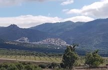 Private Day Trip to Volubilis, Moulay Idriss, and Meknes from Fez (Fes)