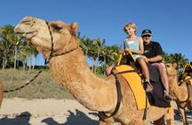 Camel Ride Experience in Agadir with Hassle-Free Transfers.