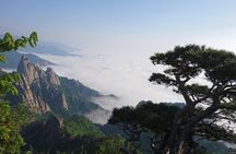 One-Day Tour for stunning Mt.Seoraksan from Seoul