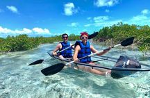Mangrove & Iguana Clear Kayak Tour
