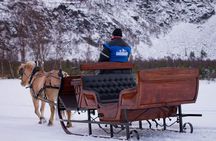 Sleigh or wagon ride in the arctic Country side 