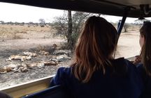 4-Days Private Midrange, Tarangire Ngorongoro, Manyara & Materuni