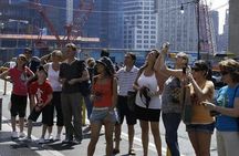 New York by Minivan Private Tour