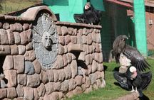 Mystic experience at Cochahuasi ( blessings of the Andean condor)