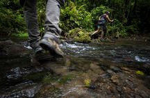 Jungle Expedition through The Childrens Eternal Rainforest