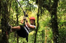 Canopy Zipline & Butterflies From Monteverde