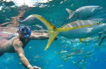 ATV Adventure & Snorkel Experience (Tamarindo, Playa Grande, Flamingo, Potrero)