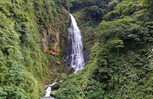 1D Tour to Cingjing Farm from Taichung 