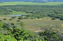 Guanacaste Forest Zipline (Tamarindo, Playa Grande, Flamingo, Potrero)