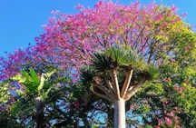 Bay of Islands Half-Day Private Tour