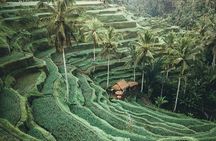 Bali Tour Customized With Local Guide