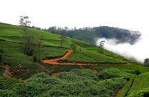 Nuwara Eliya Tea factory and waterfall tour