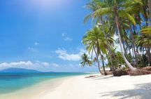 Koh Madsum (Pig island) and Koh Tan Day Tour from Koh Samui