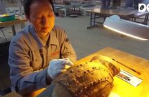Terracotta Warriors, City Wall and Muslim Food Street 