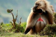 10 Days in Northern Ethiopia Tours
