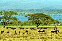 Lake Naivasha day tour including the crescent island