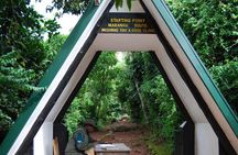 Day trip to Kilimanjaro Hike to Mandara Hut