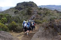 Day trip to Kilimanjaro Hike to Mandara Hut