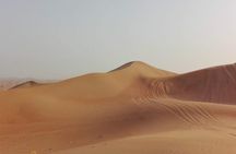 Al Ain city private tour with lunch from Dubai 