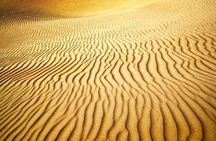 Arabian Night Safari with Camel Ride, Sandboard, BBQ & Live Shows