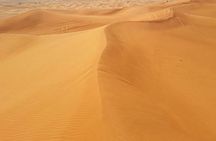 Arabian Night Safari with Camel Ride, Sandboard, BBQ & Live Shows