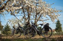 Guided Discovery of Ocher - 1/2 day - Electric bike